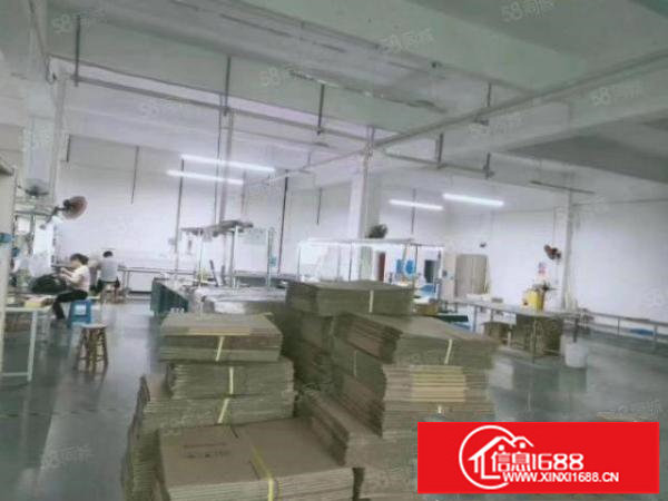 龙华大浪新出二楼标准厂房380平精装修办公室地坪漆车间拎包住