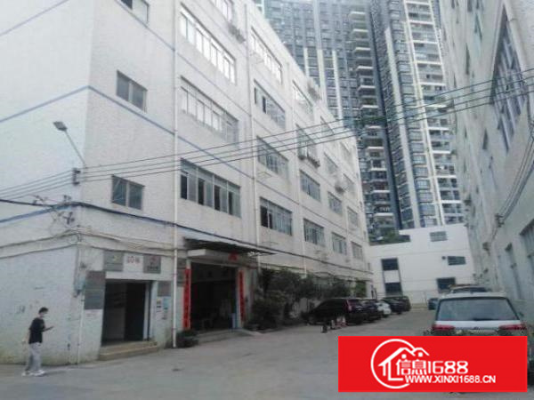 出租龙华区大浪（龙军工业区）