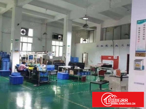 凤岗新出原房东一楼650平米厂房出租，高6米，带办公室装修