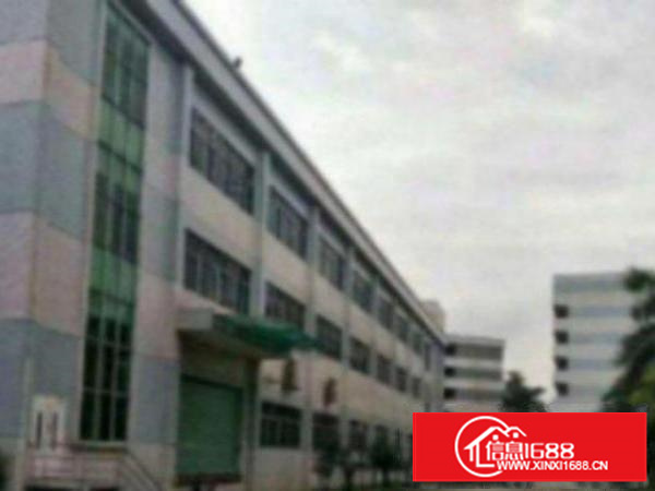 高埗独院标准厂房2层3200平方带卸货平台出租可办环评