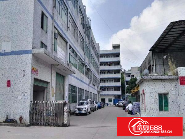 龙岗五联新出楼上800平带装修厂房14元急租