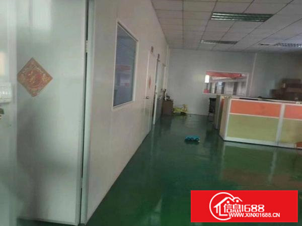 清溪新出标准厂房二楼550平，报价8元，报价8元，报价8元