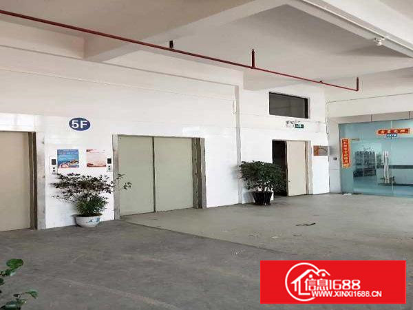 业主直租长安镇涌头带装修厂房三楼500平拎包生产