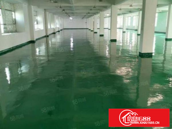 里水房东11元楼层厂房6000方面积实量无公摊可分租环评秒过