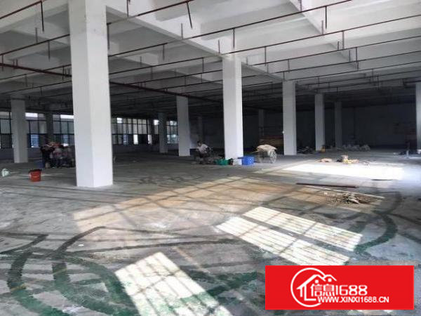 塘厦科苑城，新出一楼1900平方标准厂房，租21元，可分租