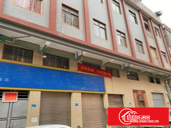 茶山原房东厂房2楼500方出租