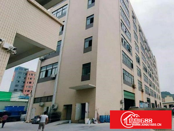 金凤凰空出精装修带喷淋标准厂房6楼2000