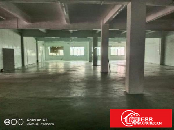 可签10年合同简沙洲虾公坎5700平，可分租可整租。真实图片