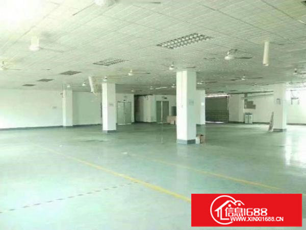 坪山坑梓工业园新出楼上整层1200平三吨电梯形象好可分租