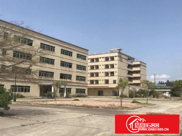 惠阳大亚湾15000平方厂房出租（可分租）