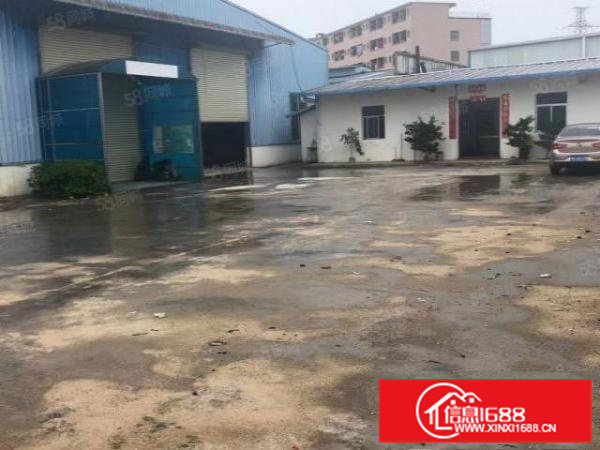 桥头镇新出原房东独院单一层厂房1500平方，精装豪华办公室