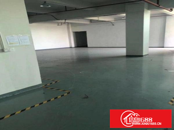 凤岗金凤凰3平方厂房出租，200平方分租