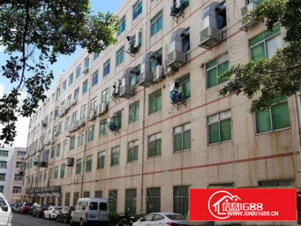 石岩塘头松白路主干道一手房东独栋厂房13725平出租