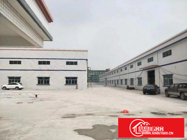 园洲钢构厂房红本砖墙到顶重工业厂房出租原房东牛角