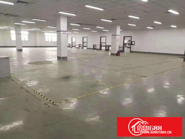 新出二三楼厂房2400平方，每层1200，可分租，豪华装修！