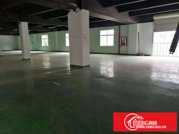 坪地坪东独院厂房3000平方出租可分层租