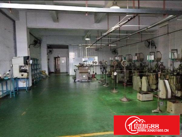 布吉沙湾路旁一楼300平方标准厂房招租