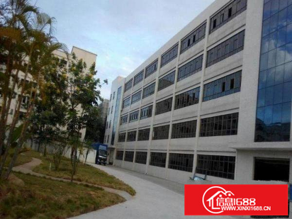 石排埔心工业区分租楼上1500平米