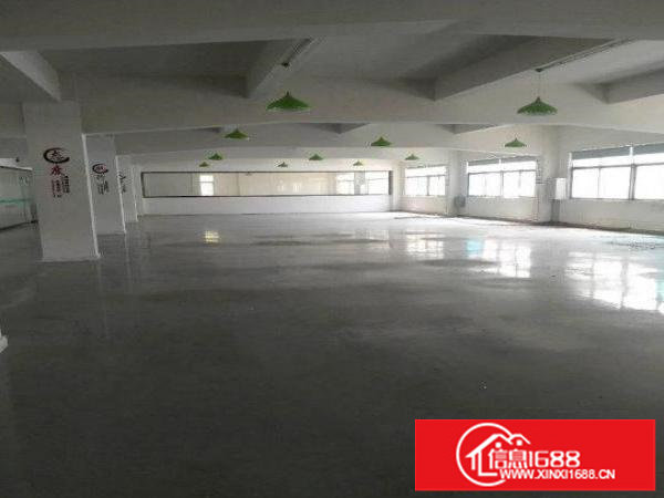 悦兴路冼屋旁厂房，带高档装修水电齐全