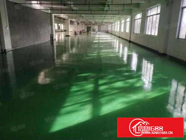 石碣镇新出标准厂房13层3000平方出租，报价15元！