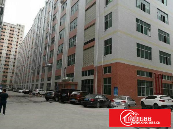 东莞市凤岗镇金凤凰工业区空出楼上装修800平米