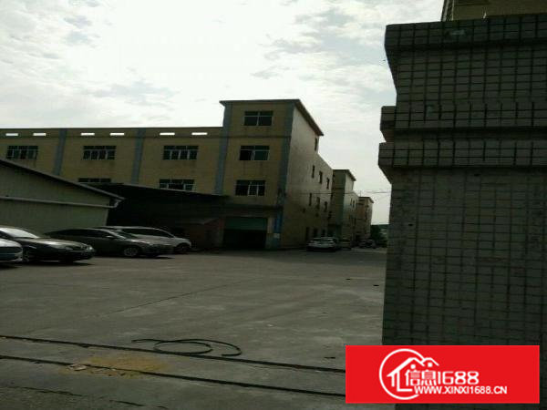 常黄路黄江新出独栋厂厂房4000平米