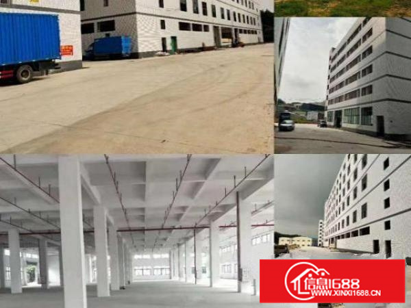 佛山罗村佛山西站高标准厂房4万平方招租(可做织厂),可分租