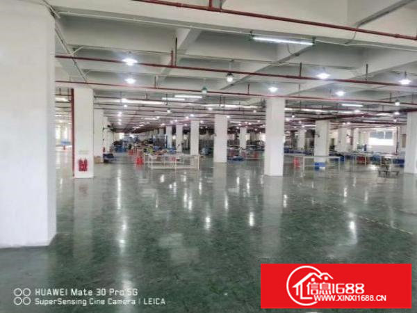 清平高速出口，独栋红本厂房出租，厂房1-5层35000平米