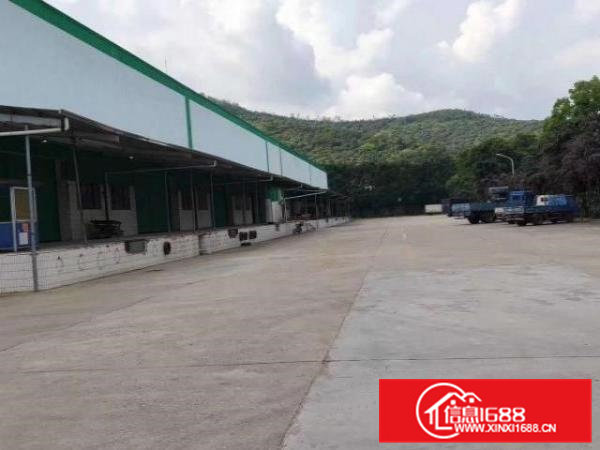 桥头独门独院单一层9米高13000平可分租证件齐全