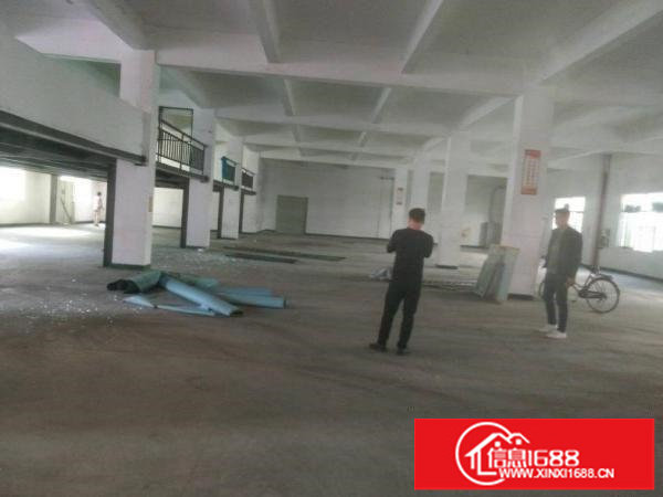 平湖新木村委附近一楼800平二楼1680平厂房分租