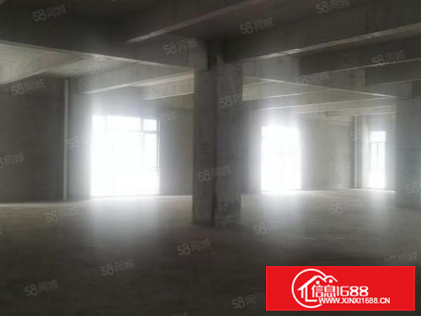 杏坛智能科技产业园带地坪漆800方，方正好用，高大尚