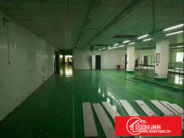 无转让费，出租龙岗区坂田楼上500平米精装修厂房