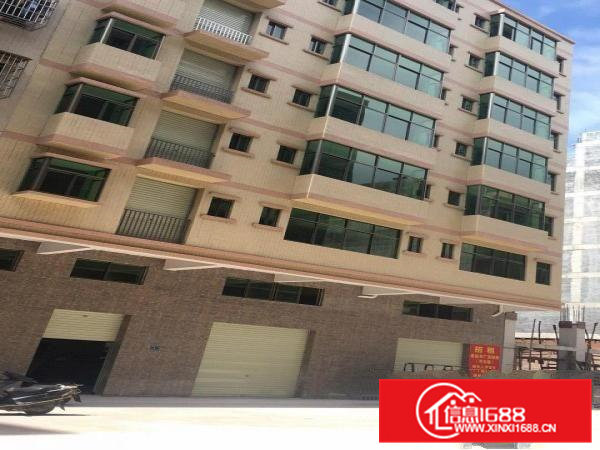 原房东新建电梯厂房，每层300m2