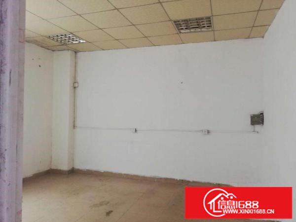 横岗六约新出标注厂房一楼仓库450平方