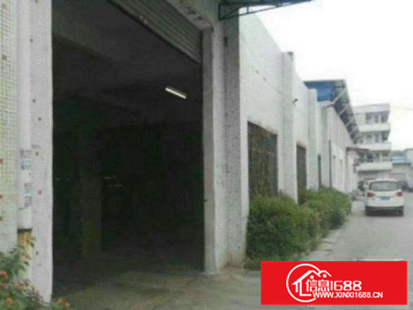 高埗单一层1800平方独院厂房招租电200千瓦形象好，好招工