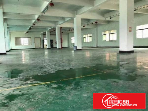 塘厦科苑城工业园四楼800平方米带电梯厂房出租面积实在