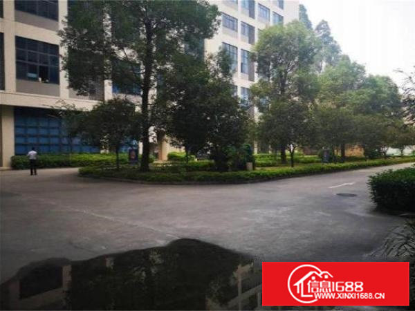 大朗楼上1000方带现成办公室，适合电商等行业，价格超低