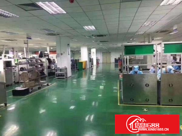 南栅新出楼上900平精装修厂房招租原房东，可办环评