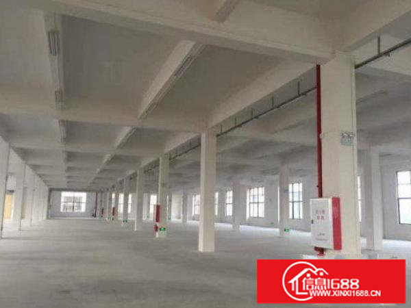龙岗平湖新南村标准厂房一楼680平带水电招租