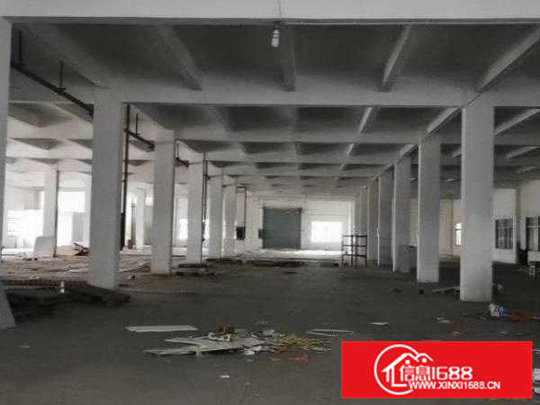 勒流不拆迁厂房1500—5000平方