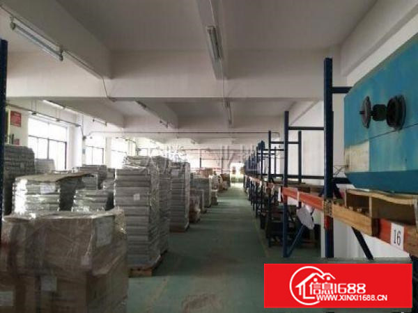 勒流富安3层标准厂房出租14000方，规划齐全