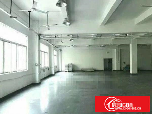 龙岗坪山深汕路独院3500平有红本