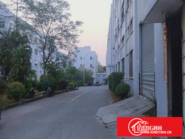 （业主直租）凤岗刚刚空出500平米厂房带装修水电办公室齐全