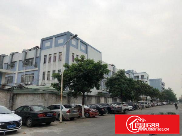 高埗镇冼沙独院原房东标准厂房3层13000平