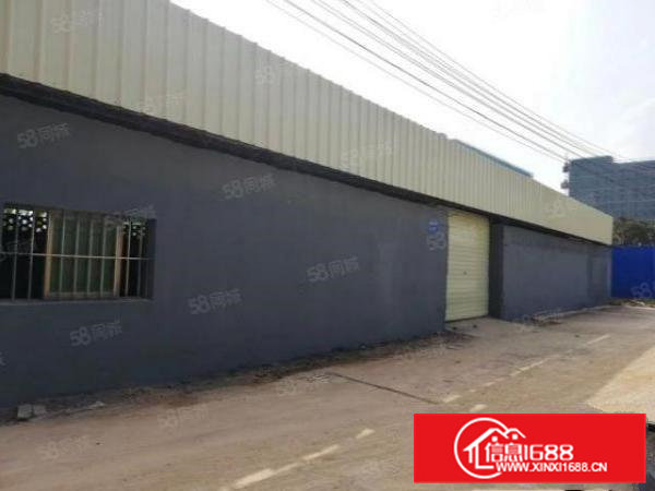 横沥村头新出单一层400平方低价出租