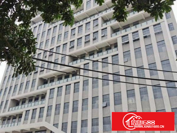 大朗全新红本厂房20000方可分租层高7米带消防喷淋