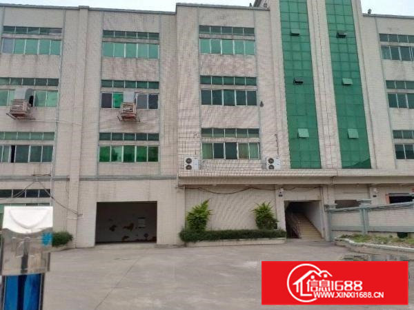 大朗洋乌原房东一楼1000平方厂房出租可办环评