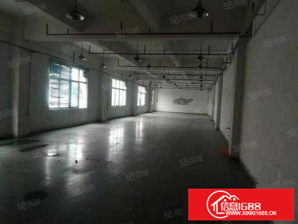 高埗冼沙厂房火爆招商中园区交通便利，标准独院，可办各类环评！