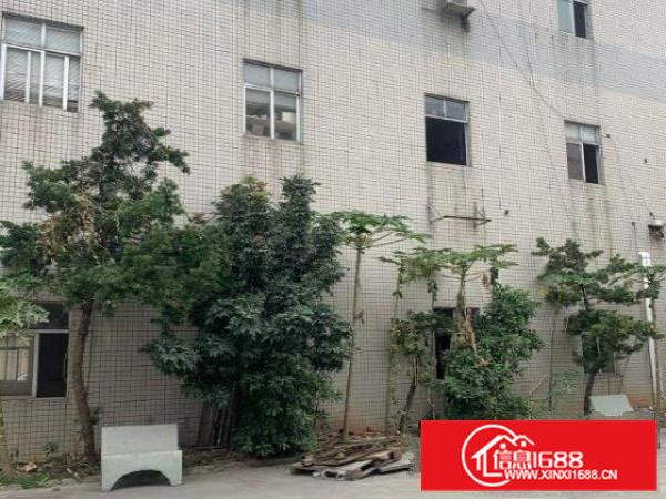 企石花园式单一层小独院出租