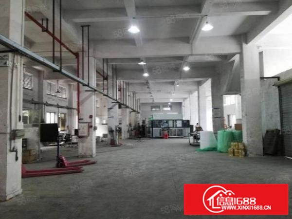 万江简沙洲独院标准厂房5700平方出租配独立变压器水电齐全